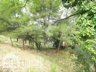 Terreny residencial  Calle falciot. 2 terrenos edificables en plena naturaleza
