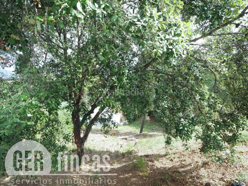 Foto 1a335b9e-9f54-4d12-8d46-642278c30c82. Terreny residencial a Can Palet de Vista Alegre Terrassa