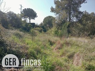 Landgut in Calle Calera