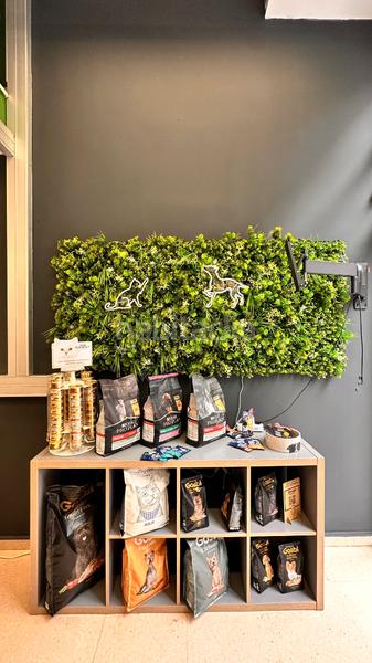 Foto d0e82f1e-3f2b-40ac-a0b2-3ad03528d83b. Locale commerciale in El Camp de l´Arpa del Clot Barcelona