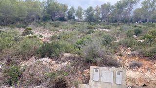 Terreno residencial en Avenida de los rosales 38