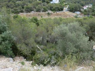 Terreny residencial  N/a. Terreno en venta en mas trader 2.