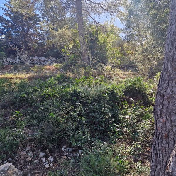 Foto 02fd0ee9-2aad-41f4-9ec3-e3d0a2956699. Terreny residencial a carrer gessamí 18 a Valldemar-Montmar Segur de Calafell