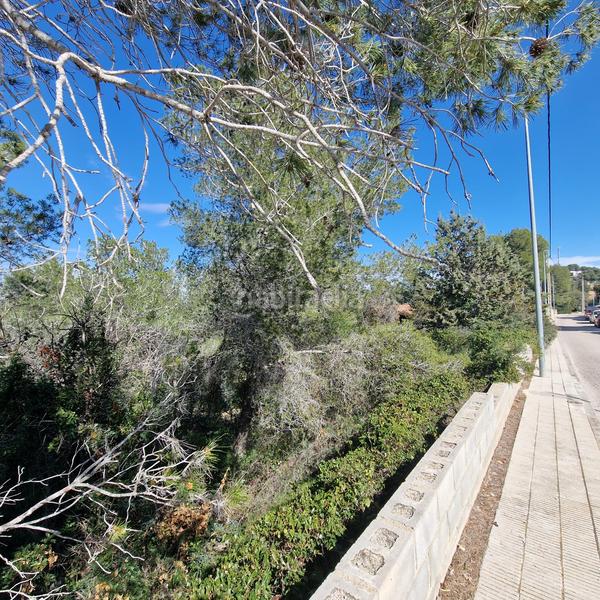 Foto 08b833ba-2760-42ce-8eb6-c400832f33a4. Terreny residencial a carrer gessamí 18 a Valldemar-Montmar Segur de Calafell