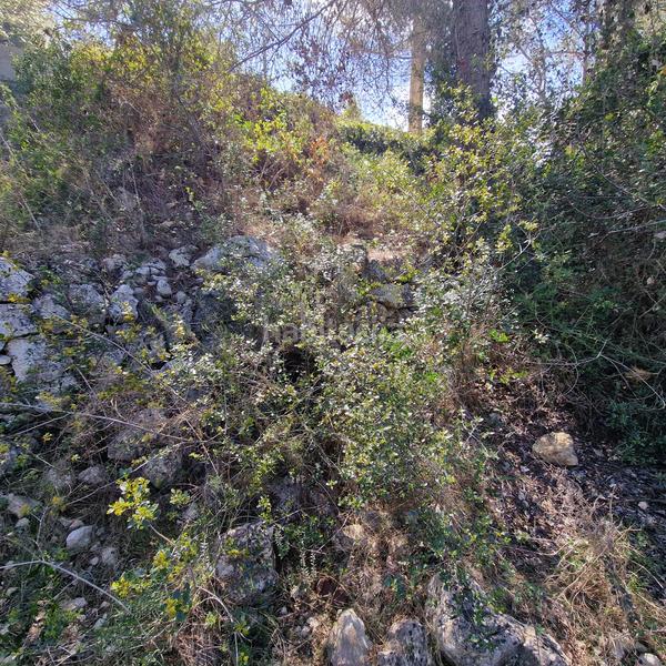 Foto 0910bc62-7534-4a14-804d-d266daa8a69e. Terreny residencial a carrer gessamí 18 a Valldemar-Montmar Segur de Calafell