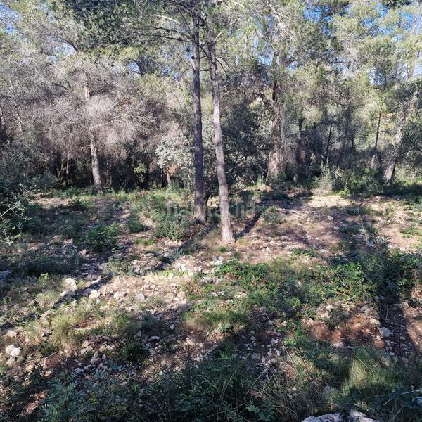 Foto 0a29f494-45d9-4b7d-832e-89f2561b2739. Terreny residencial a carrer gessamí 18 a Valldemar-Montmar Segur de Calafell