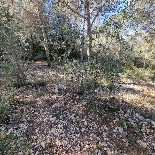 Foto 1302a844-630e-49da-ad38-58ac5445508f. Terreny residencial a carrer gessamí 18 a Valldemar-Montmar Segur de Calafell