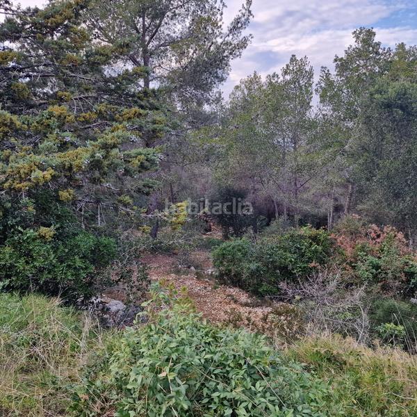Foto 3f844e79-73f3-4158-ade2-6b6196075747. Terreny residencial a carrer gessamí 18 a Valldemar-Montmar Segur de Calafell
