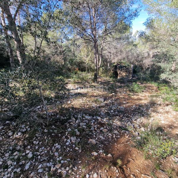 Foto 57a8dd09-ddde-405d-b651-2966653a6c0b. Terreny residencial a carrer gessamí 18 a Valldemar-Montmar Segur de Calafell