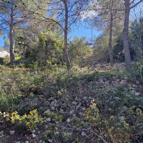 Foto 620f66ab-8d65-40be-87db-f6705089ca42. Terreny residencial a carrer gessamí 18 a Valldemar-Montmar Segur de Calafell