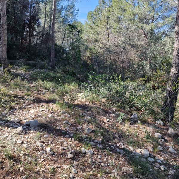 Foto 6eec4436-3551-4813-a47f-c807f061ca89. Terreny residencial a carrer gessamí 18 a Valldemar-Montmar Segur de Calafell