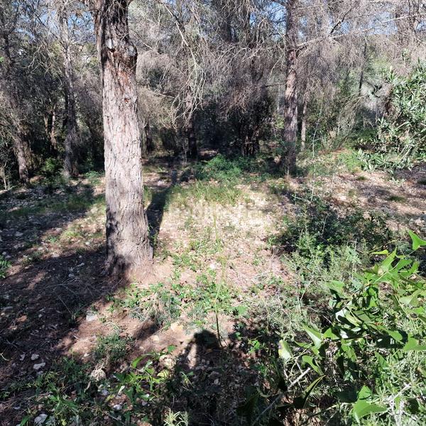 Foto 7c09189f-5ae6-43fd-b3fb-5a1b10a50861. Terreny residencial a carrer gessamí 18 a Valldemar-Montmar Segur de Calafell