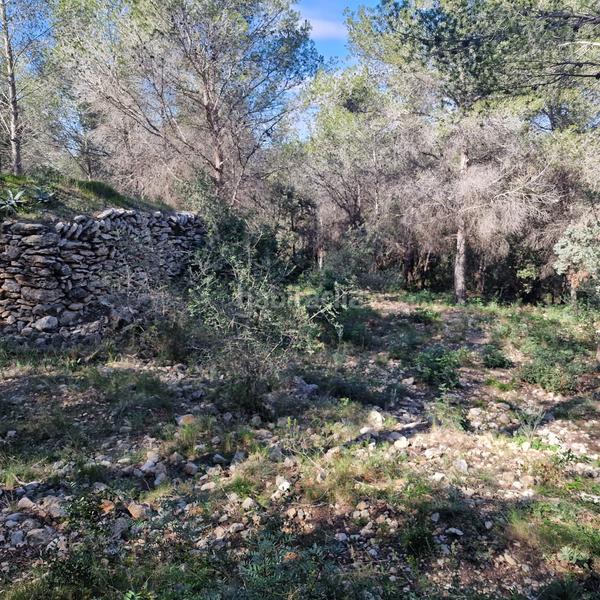 Foto 89470cd3-6157-4366-bde6-da4bfedf10ca. Terreny residencial a carrer gessamí 18 a Valldemar-Montmar Segur de Calafell