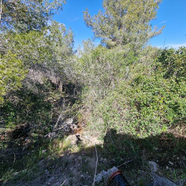 Foto 987f3bc3-dfee-43cb-80fc-b1f4aaef6d3b. Terreny residencial a carrer gessamí 18 a Valldemar-Montmar Segur de Calafell