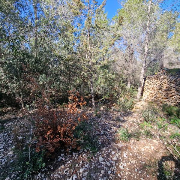 Foto ad0a7af5-a13f-4a6c-b67c-c3b8a9d2cb39. Terreny residencial a carrer gessamí 18 a Valldemar-Montmar Segur de Calafell