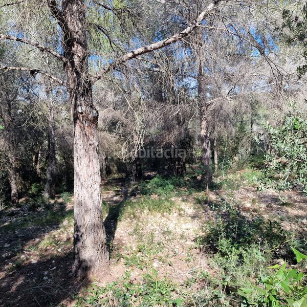 Foto b0a48ac2-f17a-4ac4-a634-2f1d621c14d4. Terreny residencial a carrer gessamí 18 a Valldemar-Montmar Segur de Calafell