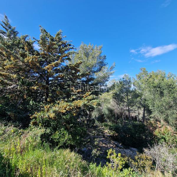Foto cb7f3903-76d0-4f24-88ed-10de881cc867. Terreny residencial a carrer gessamí 18 a Valldemar-Montmar Segur de Calafell