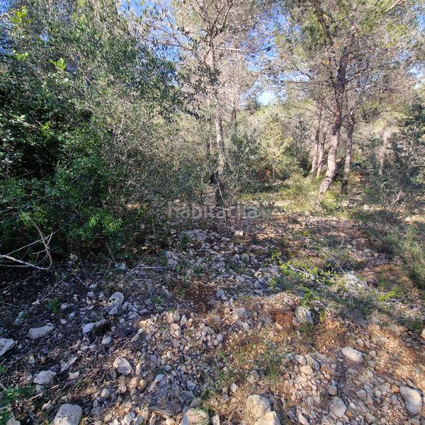 Foto ddba462a-48a0-4333-9e87-08df56779fa5. Terreny residencial a carrer gessamí 18 a Valldemar-Montmar Segur de Calafell