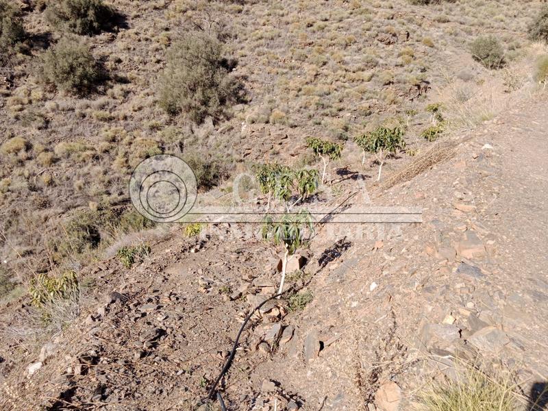 Foto 35bf2689-b6c4-492a-9884-59b8beae4514. Terreno residencial en Lagos