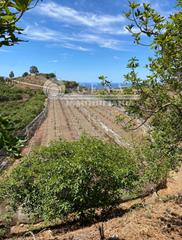 Terreno residencial en Almayate Bajo
