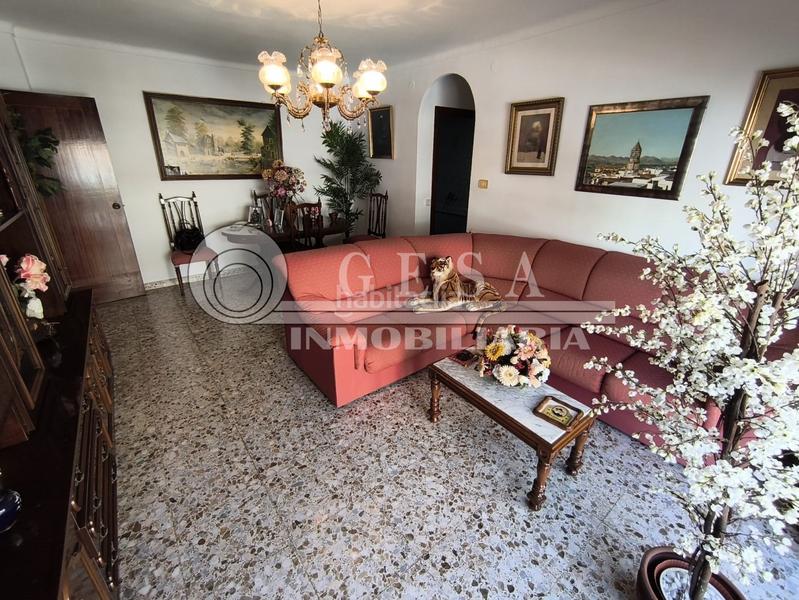 Foto 996f03b6-8440-4210-80fb-1c3e98e09d7f. Pis a El Morche Torrox