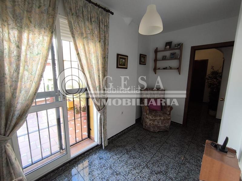 Foto f7b00cd0-9106-4c38-8c51-c8035c498552. Pis a El Morche Torrox