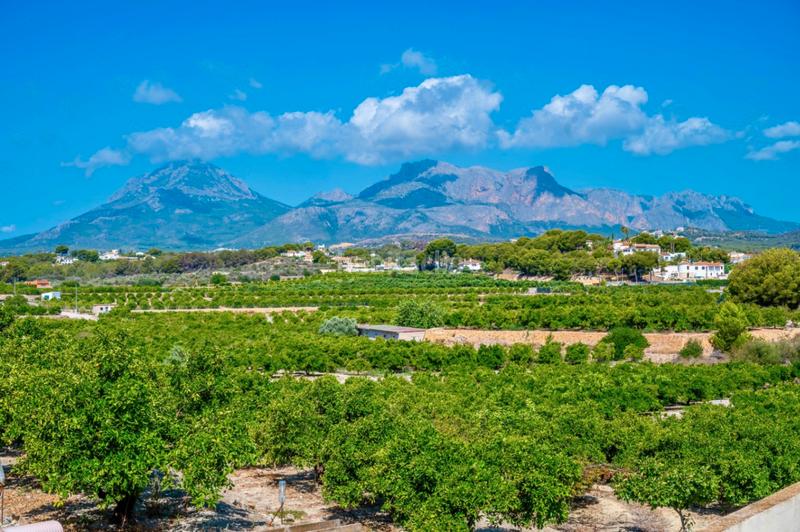 Foto 6686ef51-24b4-46fb-91cf-595d1f7c72ef. Chalet en Pueblo-Ubanizaciones Alfàs del Pi (l´)