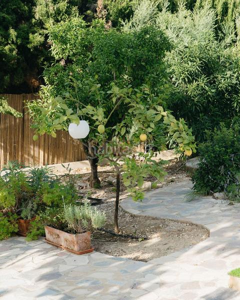 Foto cd6f4689-f90f-4ae0-bd61-c9c7737b11ee. Chalet en L´Albir Alfàs del Pi (l´)