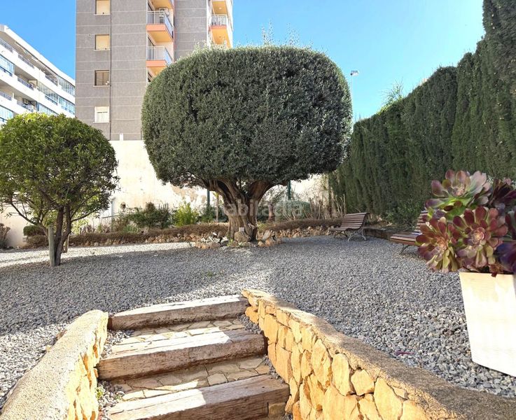Foto 272a4714-c1c5-4046-9f9e-72492fa37412. Apartament amb calefacció aparcament piscina a Puerto Calp