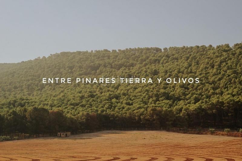 Foto 1acbebcf-292a-4c63-85f5-6563dc56b3ac. Terrain résidentiel dans Humilladero