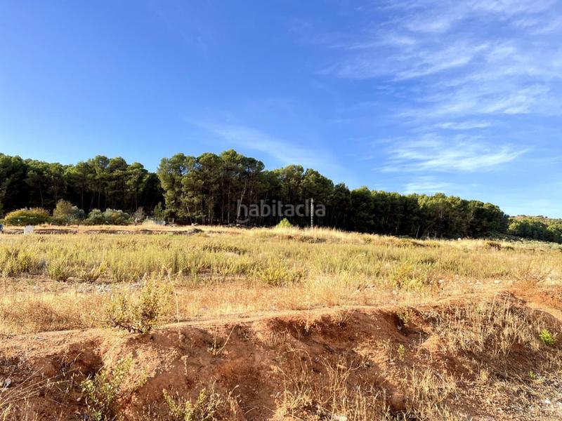Foto bad20be8-a2ce-42fb-bab2-17ec34d0ecfc. Terrain résidentiel dans Humilladero