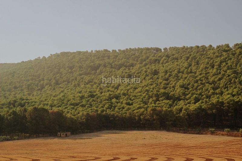 Foto d0097b6d-103f-4b59-8e49-2da44f9c9f62. Terrain résidentiel dans Humilladero