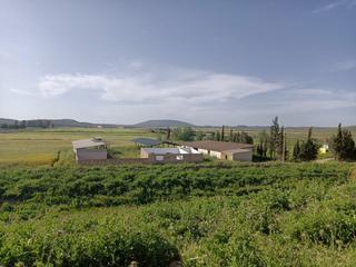 Masia a Mollina. Finca rustica en venta o alquiler con opcion a compra con posibi