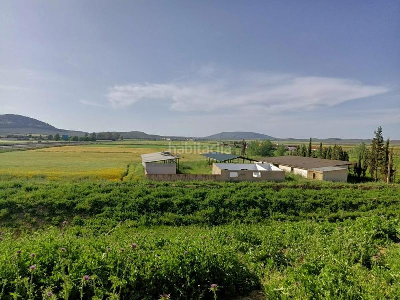 Foto 6ff5dc51-32ef-4334-8b54-05a587d3d003. Masia a Mollina