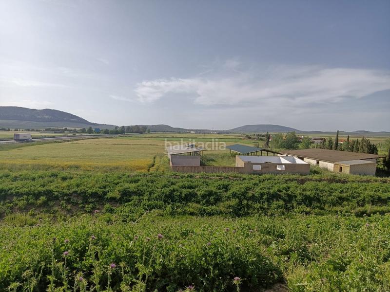 Foto b33a9e97-f2ee-43a3-85ca-73646856483f. Masia a Mollina