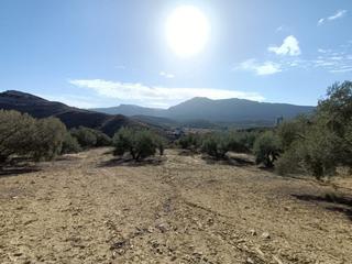 Finca rústica en Bobadilla - Bobadilla Estación - La Joya. Finca rustica cerca de antequera