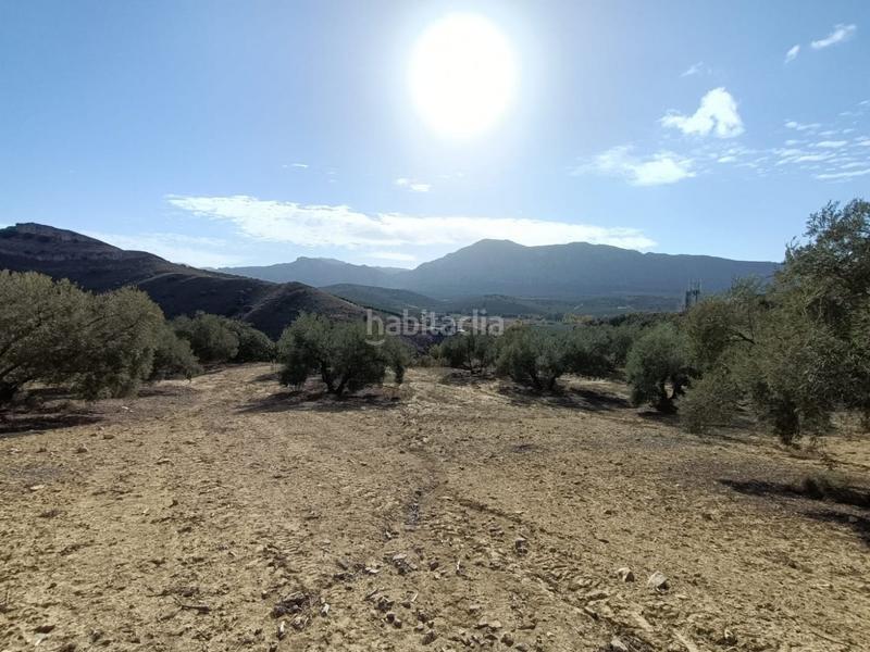 Foto 12b21977-e67a-4ea0-a532-ac36015ffe35. Landgut in Bobadilla - Bobadilla Estación - La Joya Antequera