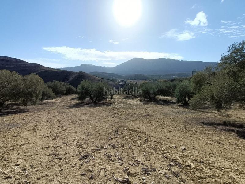 Foto 254a2384-4321-44b1-97d9-7f378f359c0c. Landgut in Bobadilla - Bobadilla Estación - La Joya Antequera