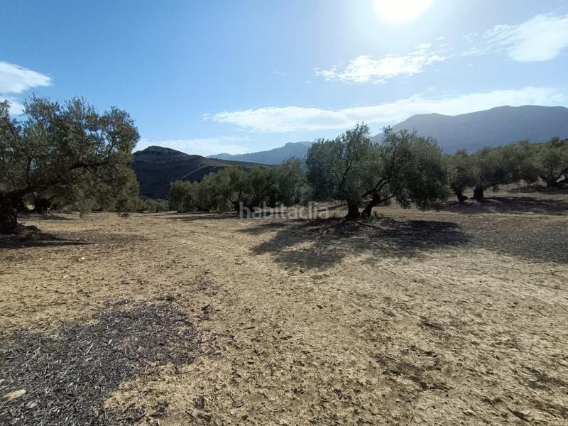 Foto 6d32b17a-729f-49ed-b130-1304ca6e928d. Landgut in Bobadilla - Bobadilla Estación - La Joya Antequera