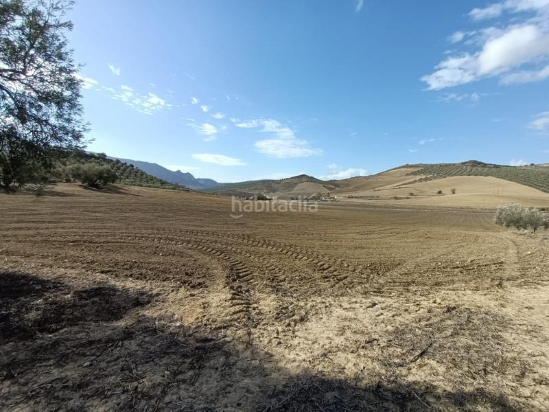 Foto be7b30e2-8d7b-4419-9e56-298be2e4679f. Landgut in Bobadilla - Bobadilla Estación - La Joya Antequera