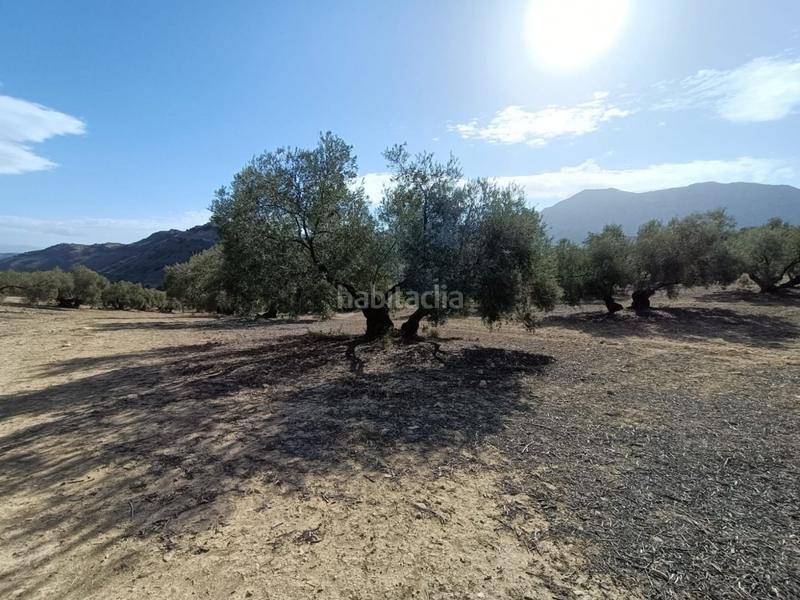 Foto d7ce8f20-ac5a-4a44-8247-ac48f9f402f4. Landgut in Bobadilla - Bobadilla Estación - La Joya Antequera