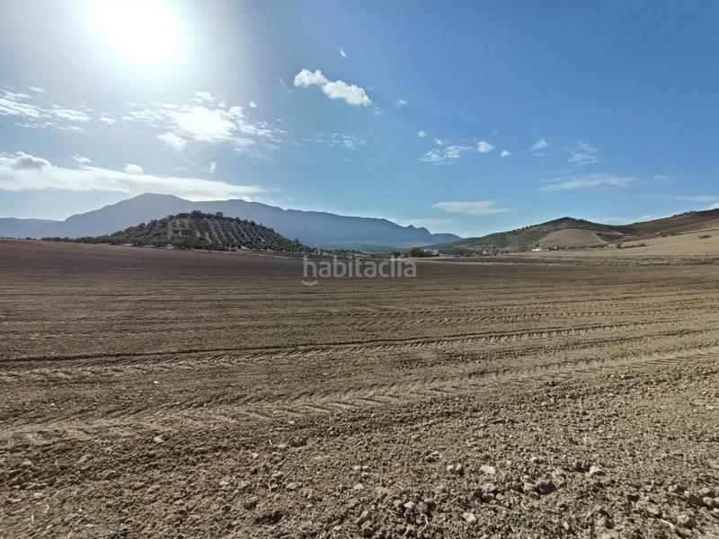 Foto e102d038-46b0-495f-b31a-c2c902ba9b63. Landgut in Bobadilla - Bobadilla Estación - La Joya Antequera