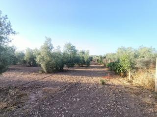 Masia a Centro. Parcela rustica en antequera esta disponible