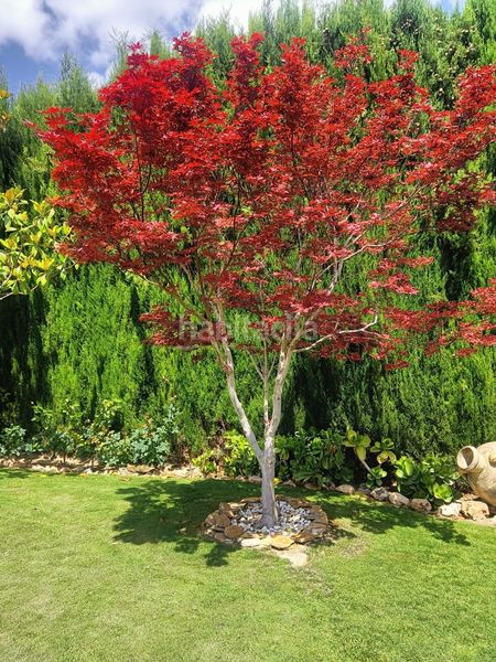 Foto dec86fd3-fe31-423b-9705-2d4eea8f87ca. Casa amb calefacció aparcament piscina a Bobadilla - Bobadilla Estación - La Joya Antequera