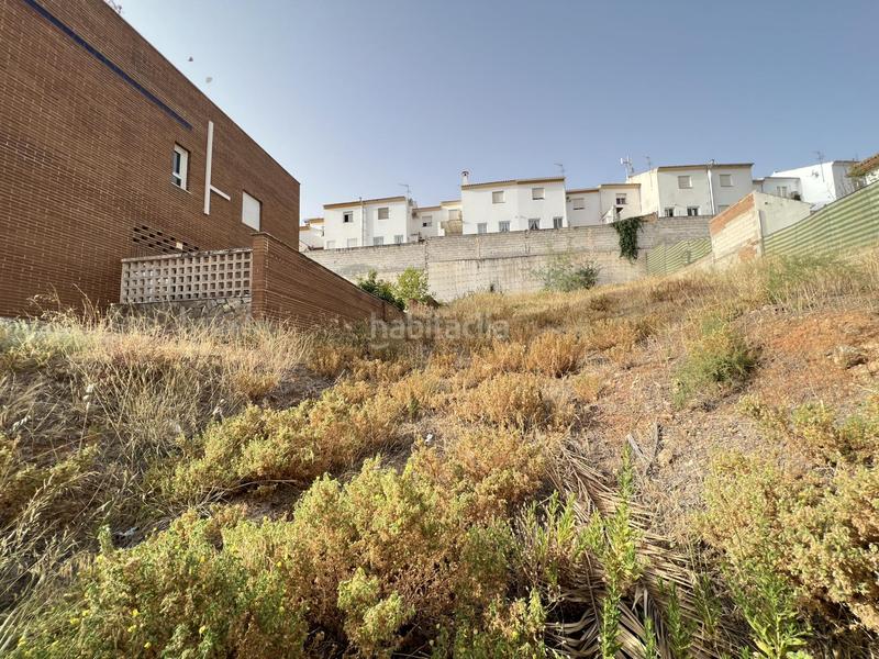 Foto b73bab85-413c-4f2a-a65a-846e5c97a61a. Terreny residencial a Fuentemora Antequera