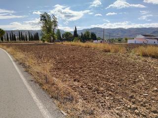 Terreny residencial a Archidona. Se vende parcela, totalmente legalizada, en zona de archidona