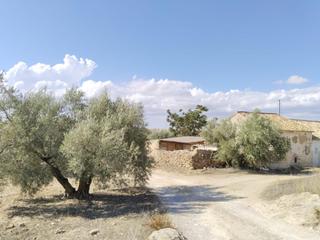 Finca rústica en Centro. Se vende finca rústica en antequera!