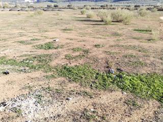 Terreno residencial en Zona de la Vega