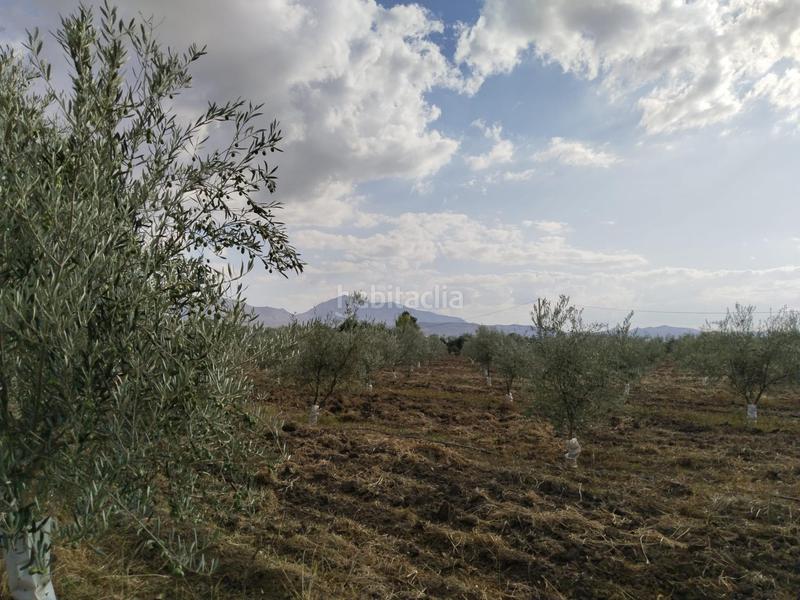 Foto 24f4213d-1cb4-4f41-85ef-d186b6604a55. Masia amb piscina a Zona de la Vega Antequera