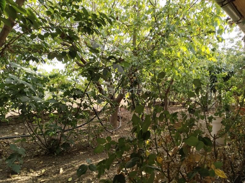 Foto 6b2bfccb-ca34-454c-844f-60feece7929f. Masia amb piscina a Zona de la Vega Antequera